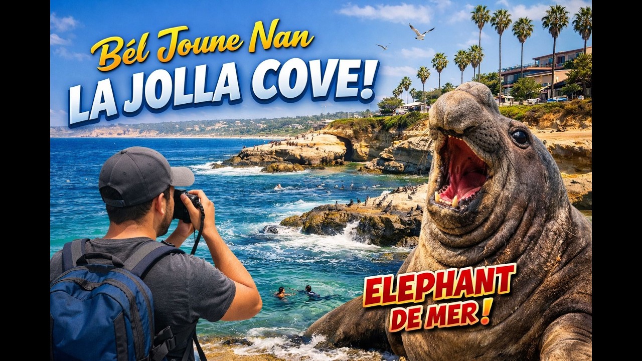&ldquo;I Discovered Giant Elephant Seals at La Jolla Cove! 🦭🌊 (Crazy Beach Day)&rdquo;