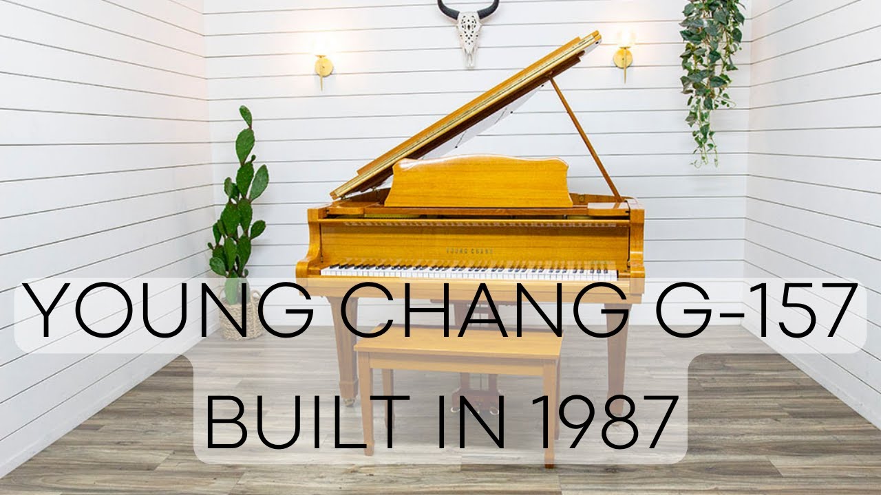 Young Chang G-157 Built in 1987
