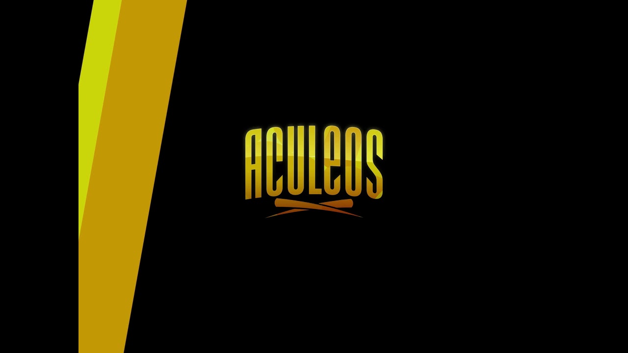 Aculeos - Skins & Punks