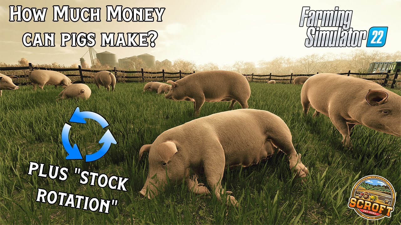Сколько денег можно заработать на свиньях? | Farming Simulator 22