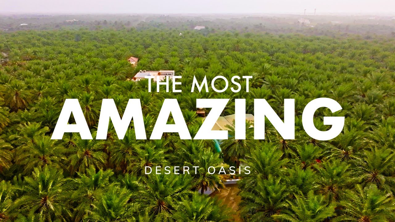 Hidden Treasures in the World's Largest Oasis | Presented by Visit Saudi
