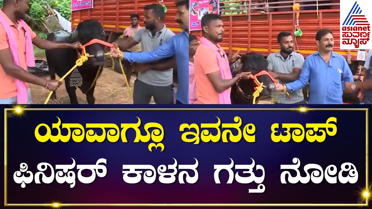 ಬೋಳದ ಗುತ್ತುವಿನ ಸ್ಟಾರ್ ಜೋಡಿ ದೋನಿ ಬೊಳ್ಳನಿಗೆ ಈ ಕಂಬಳದಲ್ಲಿ ರೆಸ್ಟ್  | Bengaluru Kambala | Kannada News