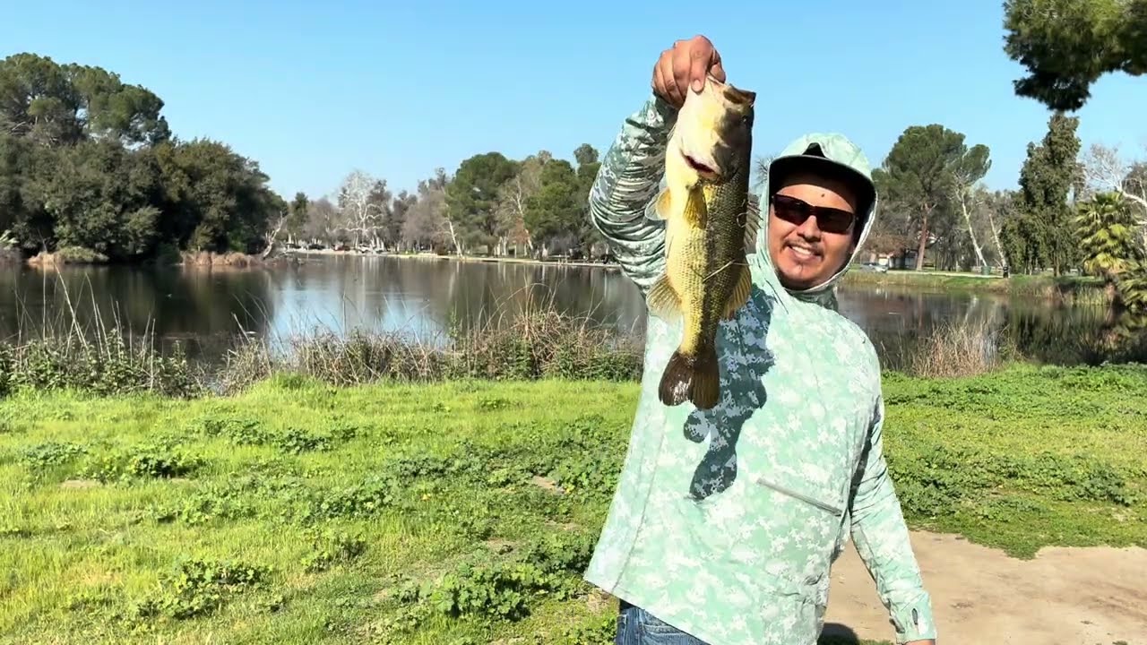 Pesca de lobina o bass 