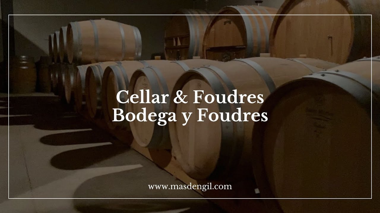 Bodega y Foudres / Cellar & Foudres