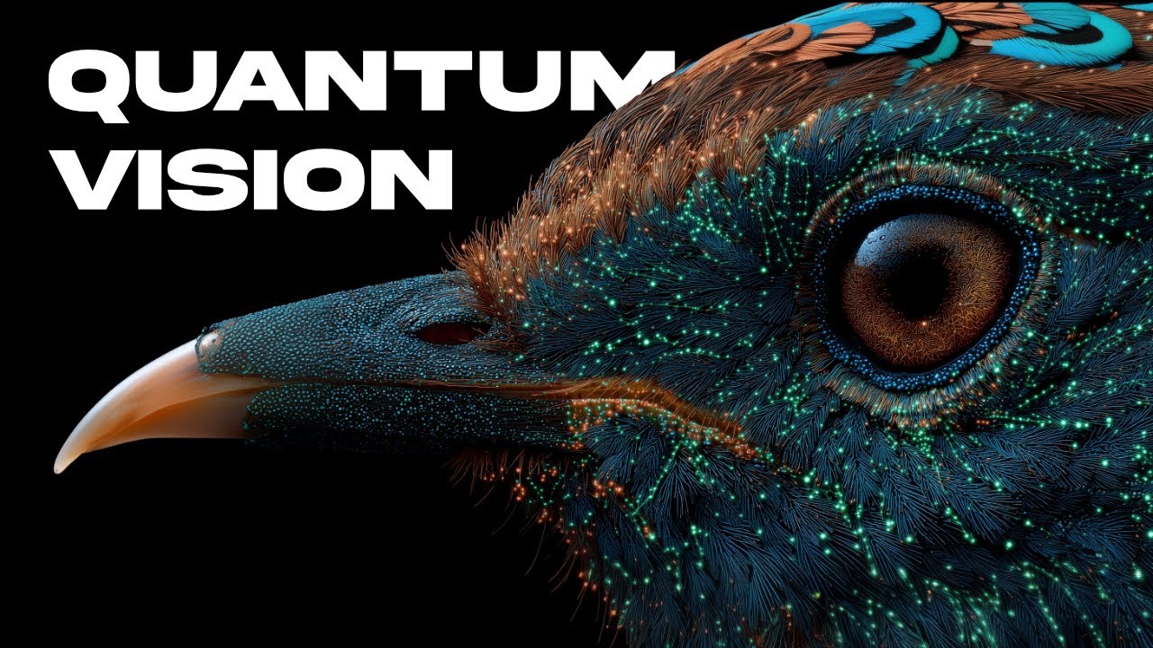 How Birds See What Humans Never Can