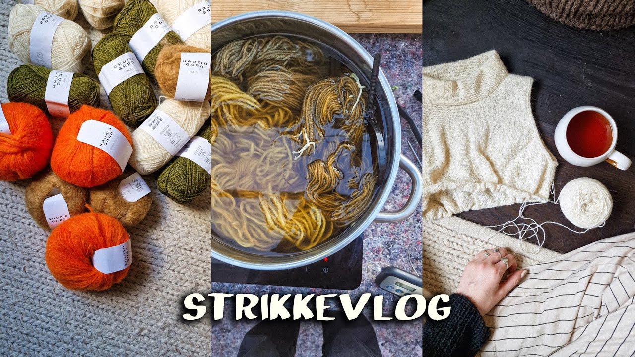 MIN F&Oslash;RSTE STRIKKEVLOG