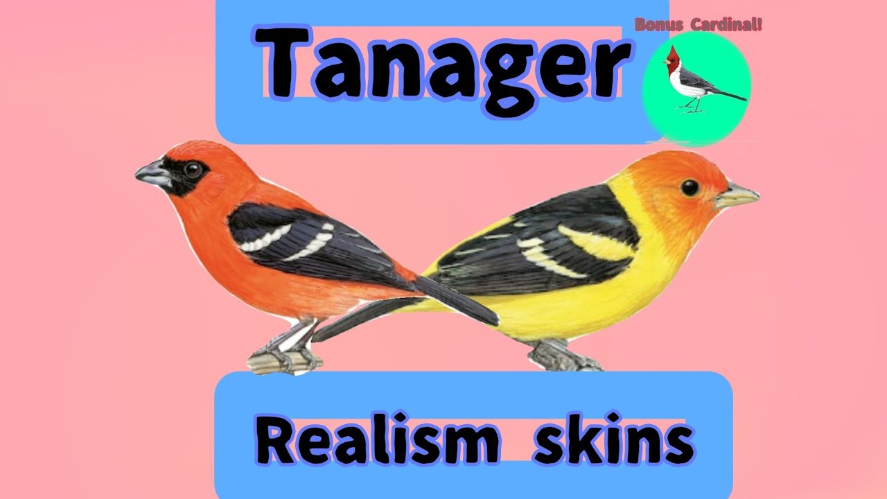 (Part- 2) How to make tanager realism skins in Feather Family (bonus skin included)