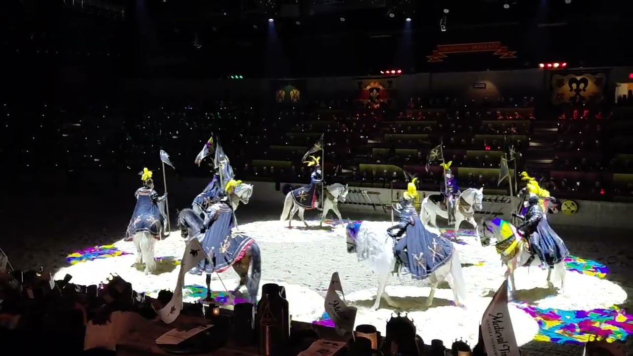 Medieval Times horses
