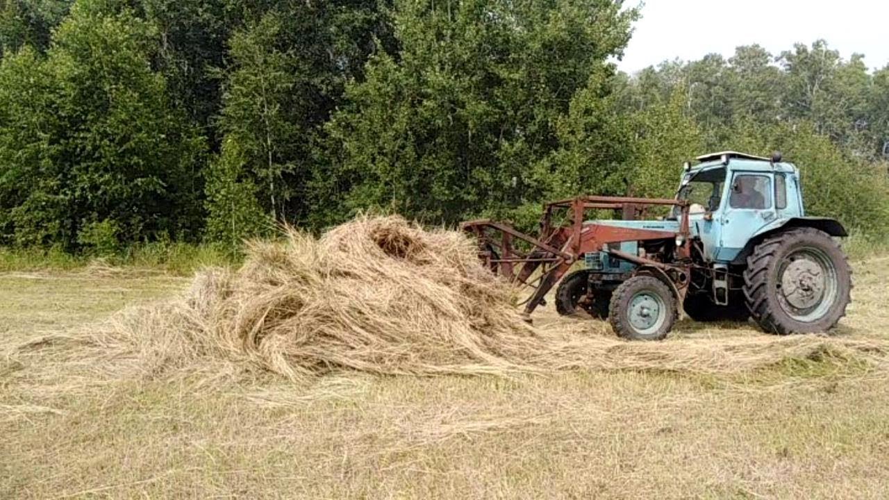 Покосы! Работа на природе! Мтз-80