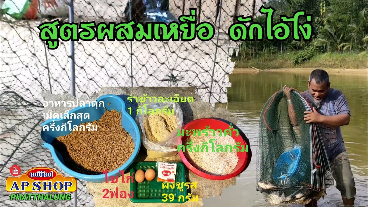 ดักไอ้โง่ด้วยเหยื่อหมัก