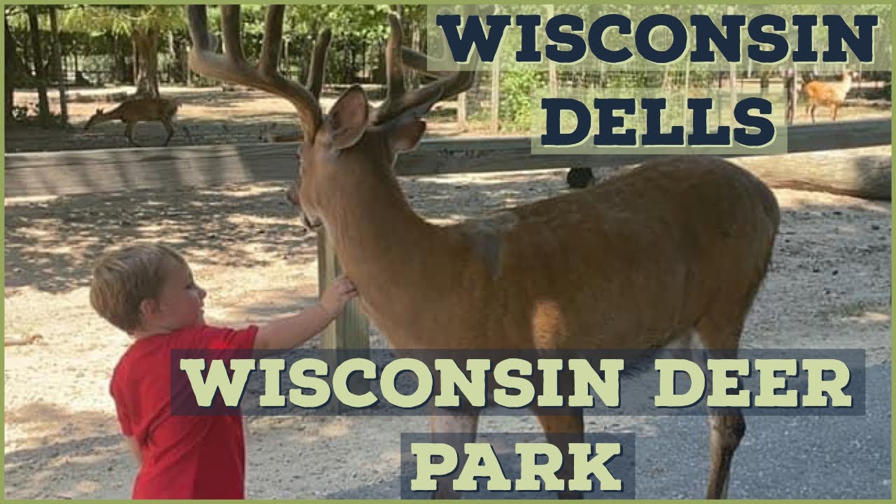 Wisconsin Deer Park - Wisconsin Dells - June 2022