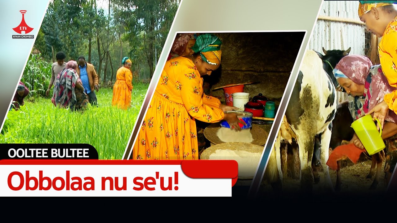 OOLTEE BULTEEObbolaa nu se'u! etv |Ebc  |Etv Afaan Oromoo| oduu Etv Afaan Oromoo |Ethiopia
