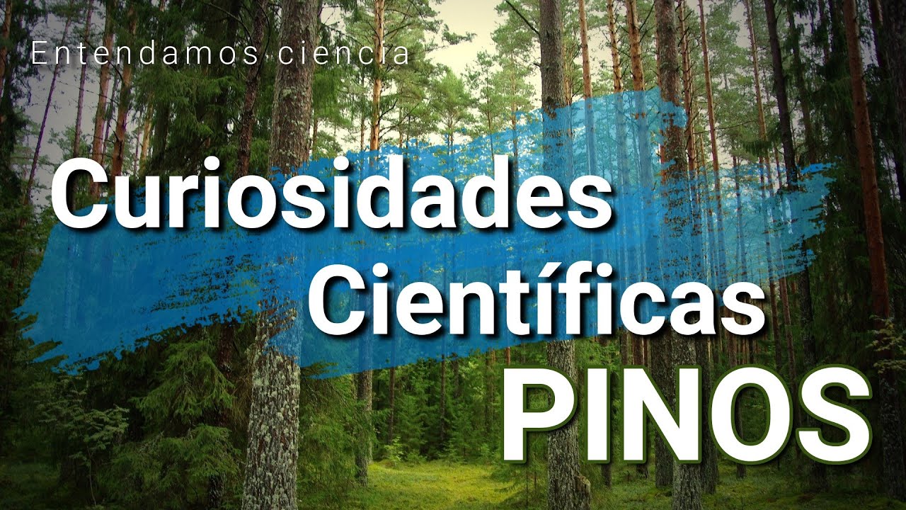 Curiosidades Cient&iacute;ficas de los PINOS