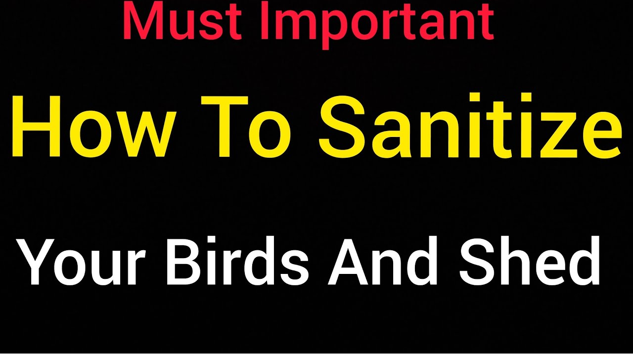 JD'z Aviaries | How To Sanitize Your Birds And Shed. 