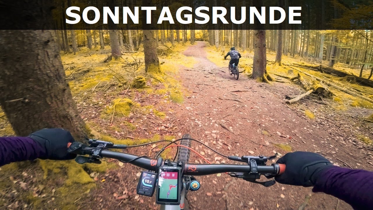 Langweilige öde Tour auf Forstwegen mit etwas Trail Beigeschmack
