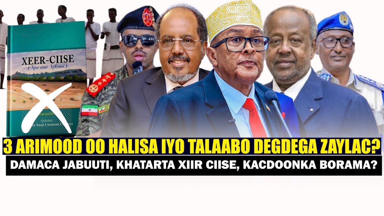 Xog Zaylac 3 Arimood oo Halisa iyo Go.aanka Cirro Talaabo DegDega? Khatarta Ciise & Damaca Jabuuti.?