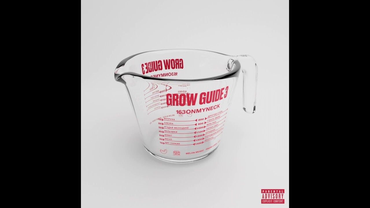 [SOLD] 163ONMYNECK x GROW GUIDE 3 TYPE BEAT - 