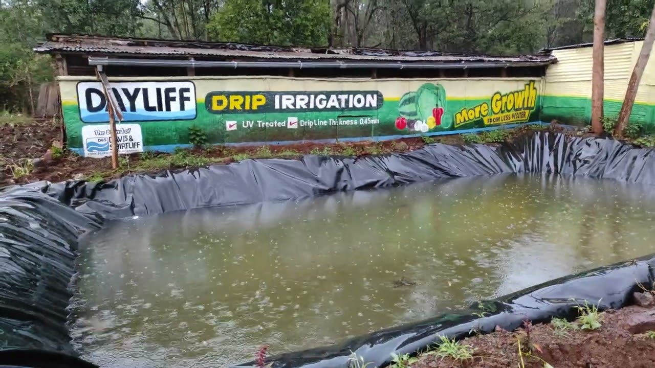 Rain Water Harvesting