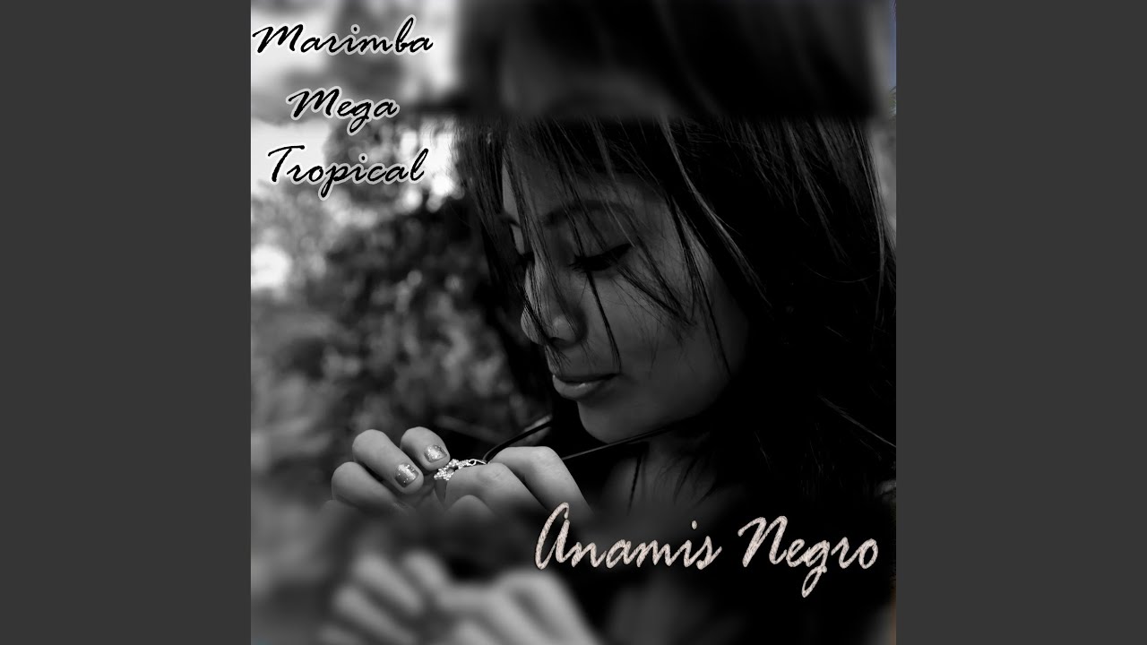 Anamis Negro