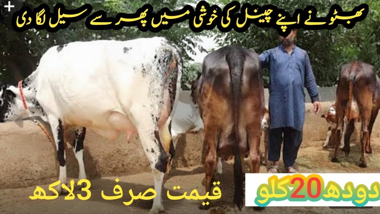 امانت عرف بھٹو سیالکوٹ 