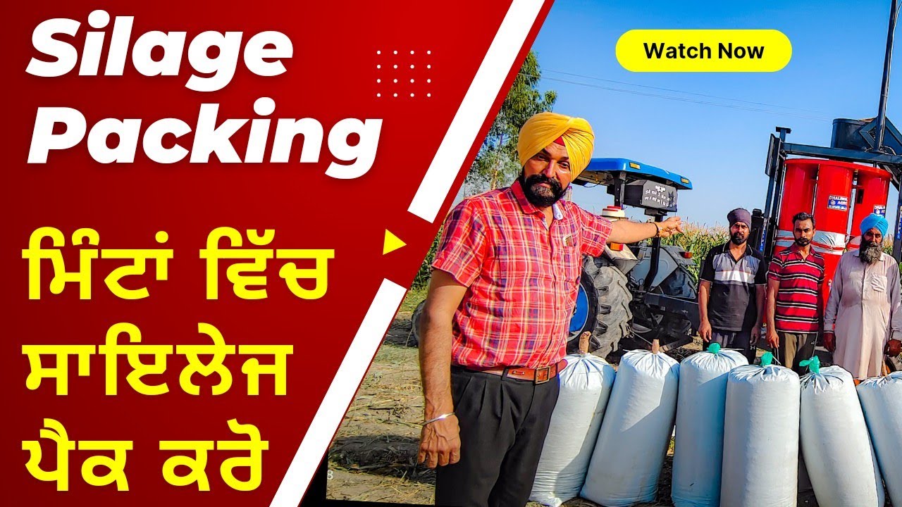 ਆਸਾਨੀ ਨਾਲ ਸਾਈਲੇਜ ਪੈਕ ਕਰੋ ਹੁਣ ਟੋਏ ਵਿੱਚ ਸਾਈਲੇਜ ਪਾਉਣ ਦੀ ਲੋਡ਼ ਨਹੀਂ Corn silage packing machine 2022