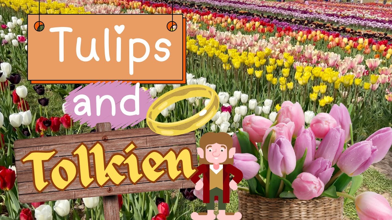 TULIP FIELDS HATTON WARWICK🌷SPECTACULAR SPRING BLOSSOM TREES 🌸 Church Where JRR TOLKIEN GOT MARRIED💍
