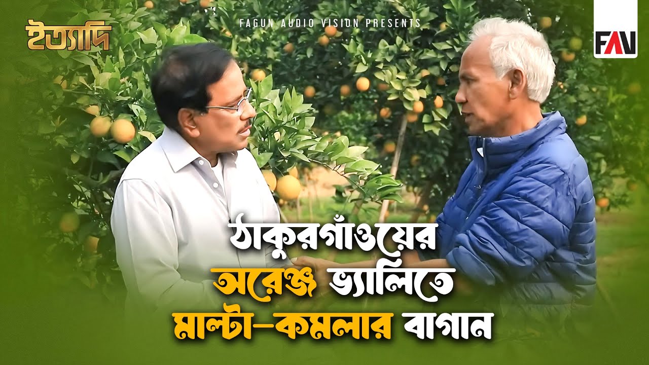 ঠাকুরগাঁওয়ের অরেঞ্জ ভ্যালিতে মাল্টা-কমলার বাগান | ইত্যাদি ঠাকুরগাঁও পর্ব - জানুয়ারি ২০২৫