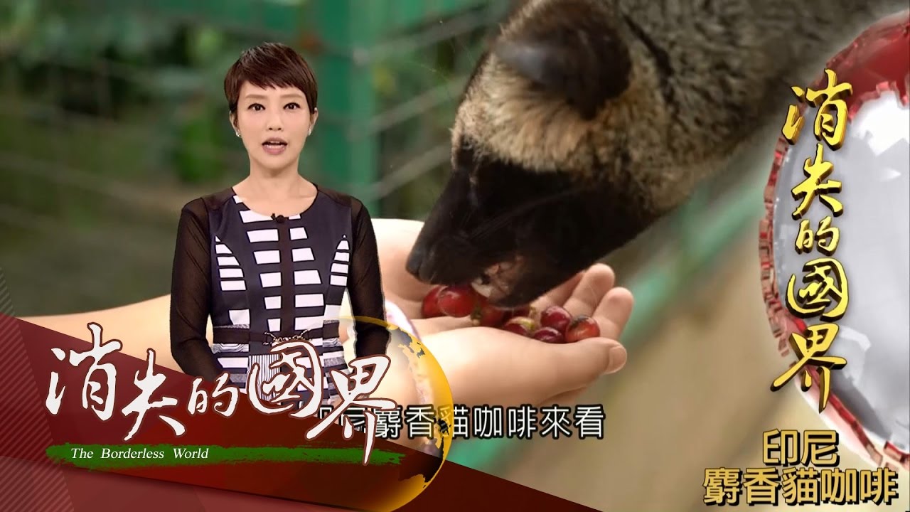 20170503【消失的國界十週年特別企劃 世界咖啡地圖】精華八種世界知名咖啡 種植地理特性、口感與文化環環相扣 帶您細細品味！｜李天怡主持｜三立新聞台