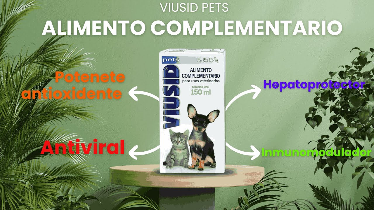 ¡FORTALECE a tu mascota EN 1 PASO con VIUSID! �💥 ANTIVIRAL + DEFENSAS + ANTIOXIDANTE 🔥