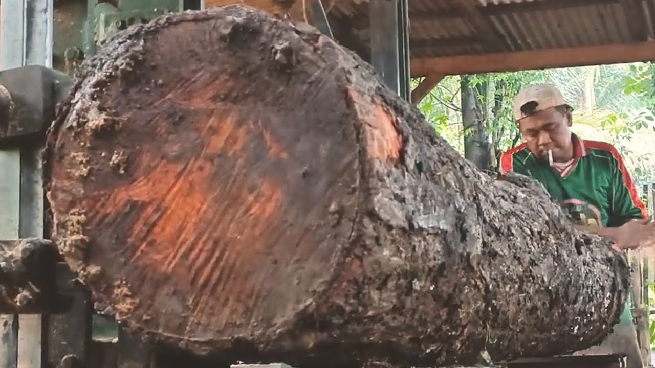 I wish I had known about the incredible log processing skills of the carpenters at the sawmill