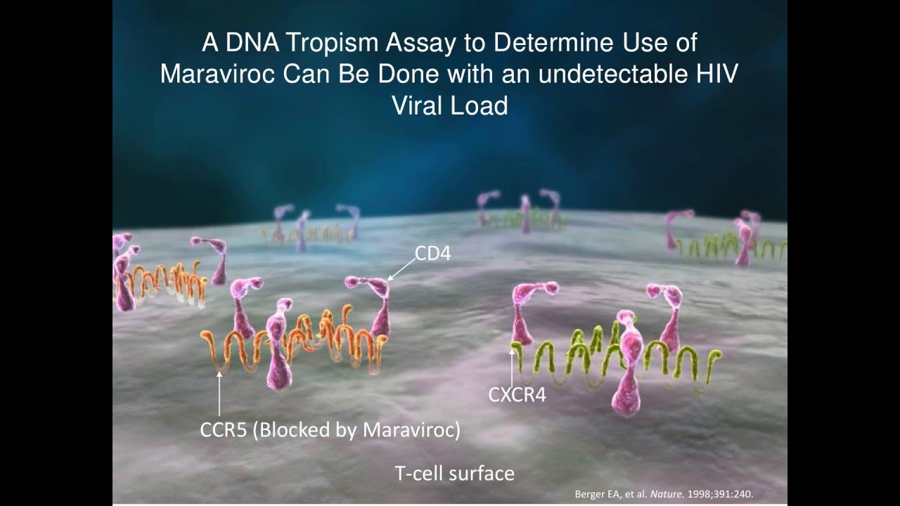 DNA Genotyping in HIV Infection