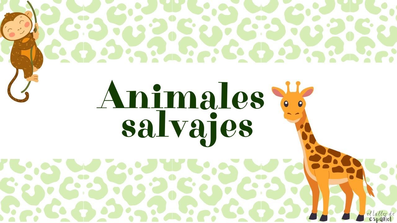 Los animales salvajes en español | Vocabulario para niños