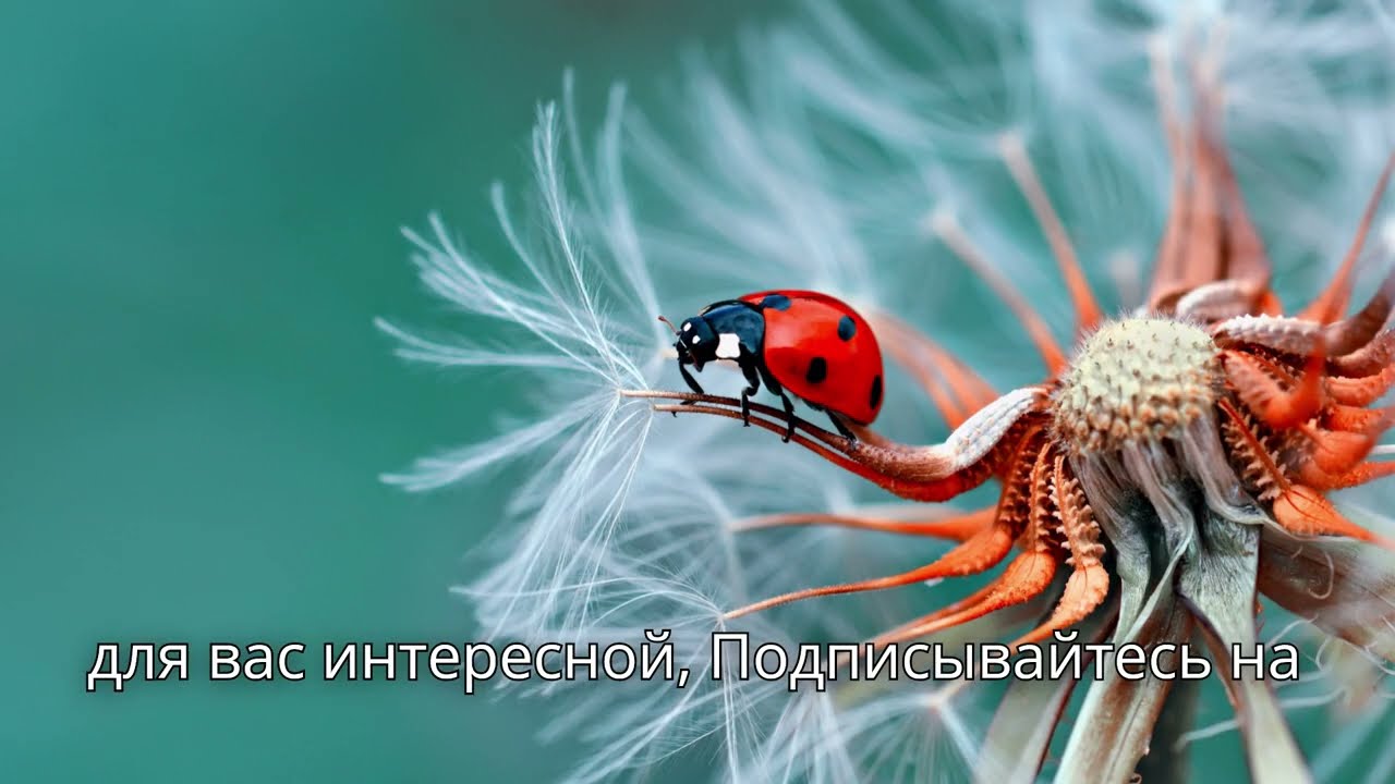 «Ты скинула деньги своей матери?!» — муж сорвался и поднял руку из-за отпускных