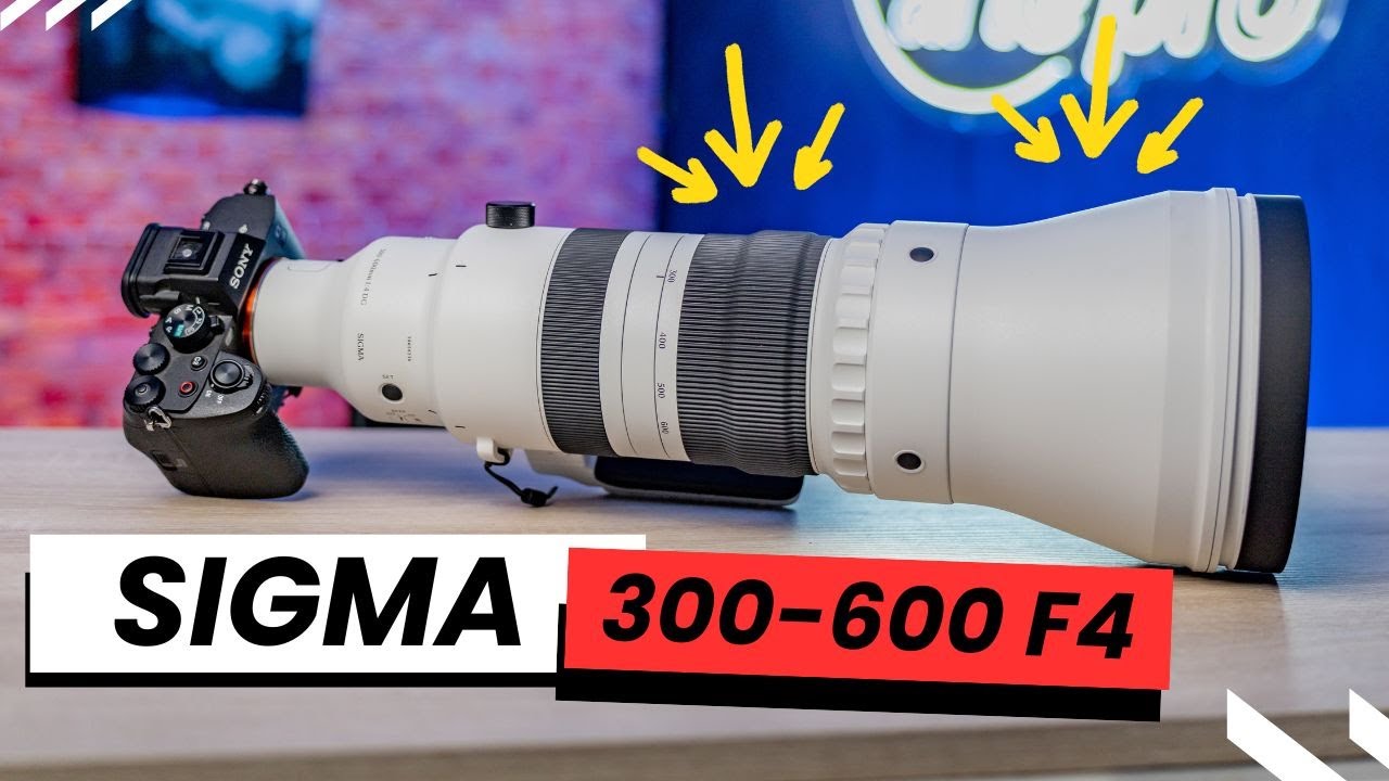 Un Teleobjetivo Único: Sigma 300-600 mm F4 DG OS Sports: REVIEW