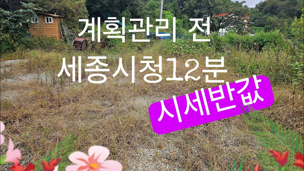 세종시 금남면 원봉리   코스트코 10분거리 계획관리 전