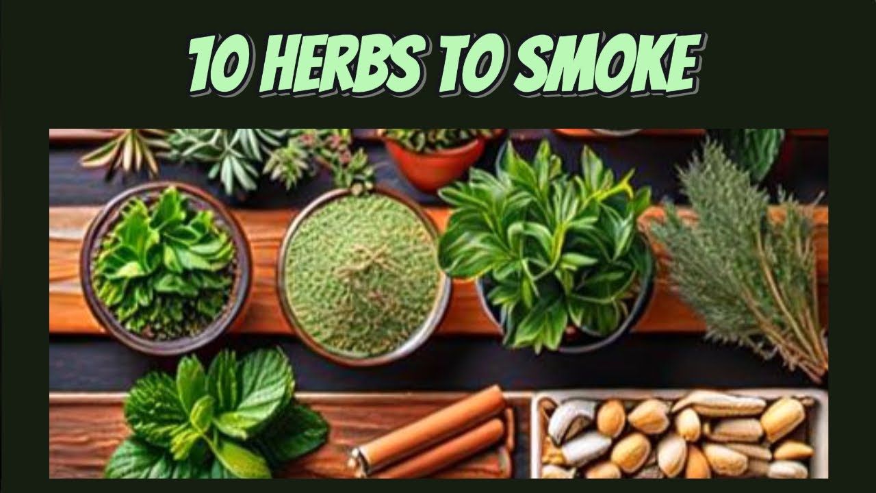 Top 10 Herbs to Smoke W/ Health Benefits
