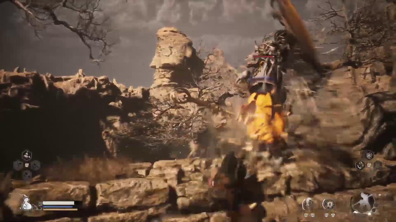 Monkey  vs tiger