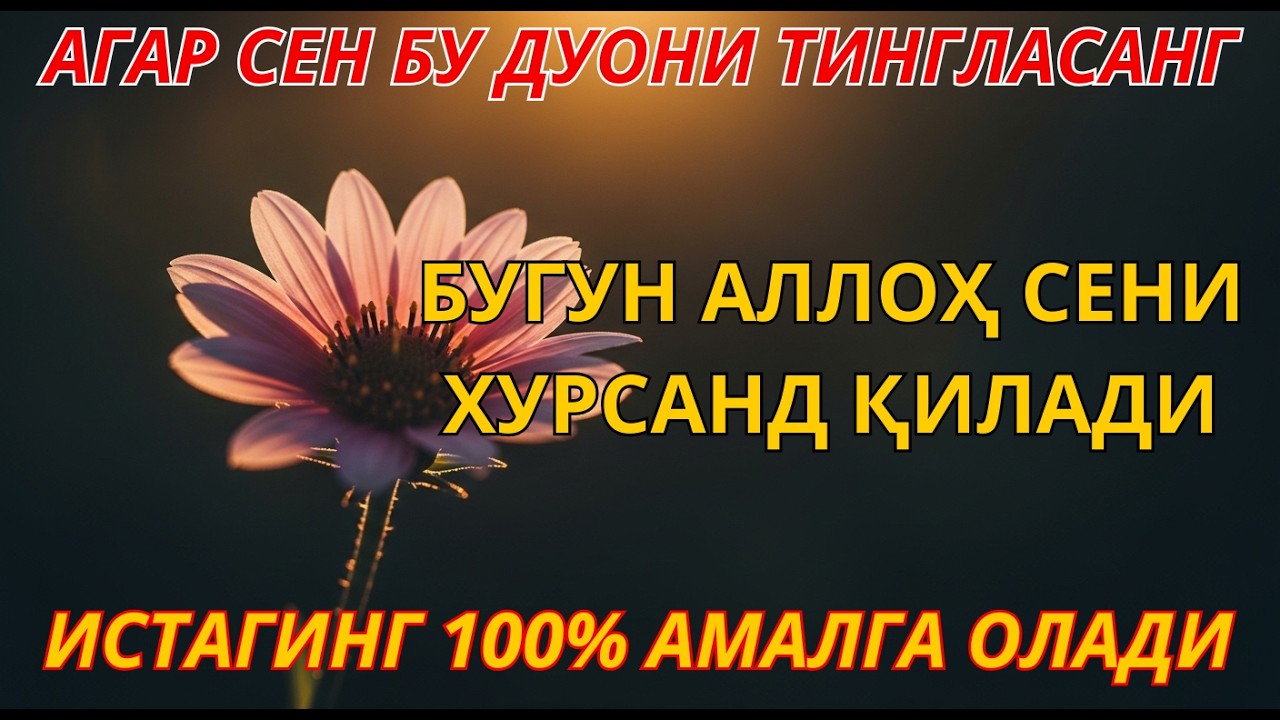 БУ ВИДЕОНИ ЭШИТГАНЛАР ТАКРОР ҚЎЯДИ Ал-Маъсурат | Қалбга нур ва ҳаётга барака келтиради