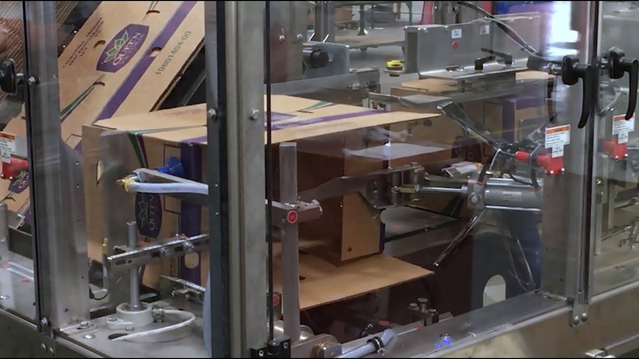 SWF CE 450 Case Erector - Produce Cases - BW Integrated Systems