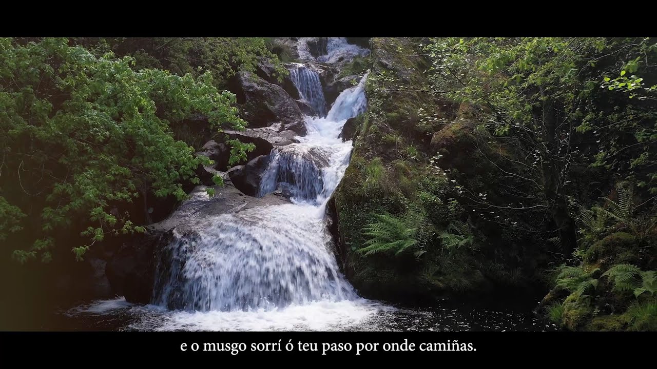 CUNTIS. UN BA&Ntilde;O DE HISTORIA. UN BA&Ntilde;O DE VIDA (GALEGO)