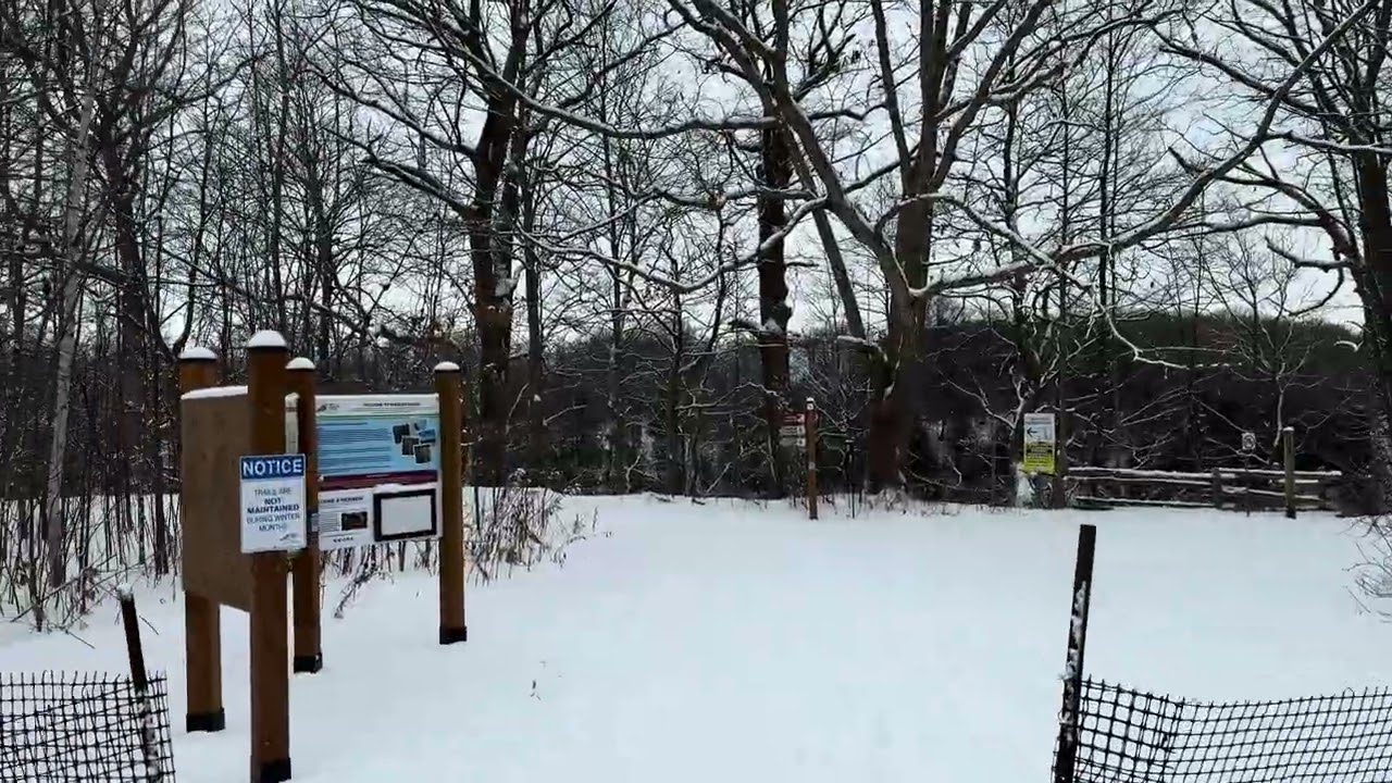 Frozen Waterfall Hike | This doesn’t feel real?