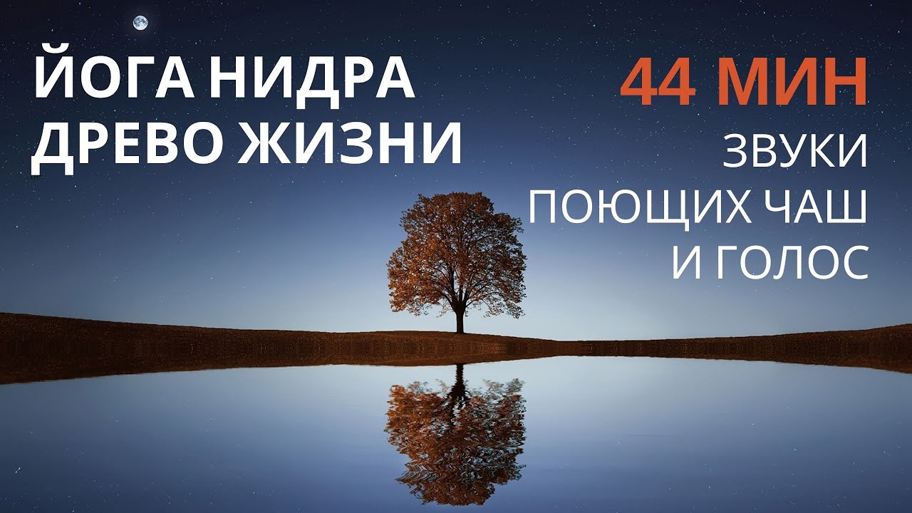 ЙОГА НИДРА с визуализацией Древо Жизни под звуки поющих чаш, 44 мин