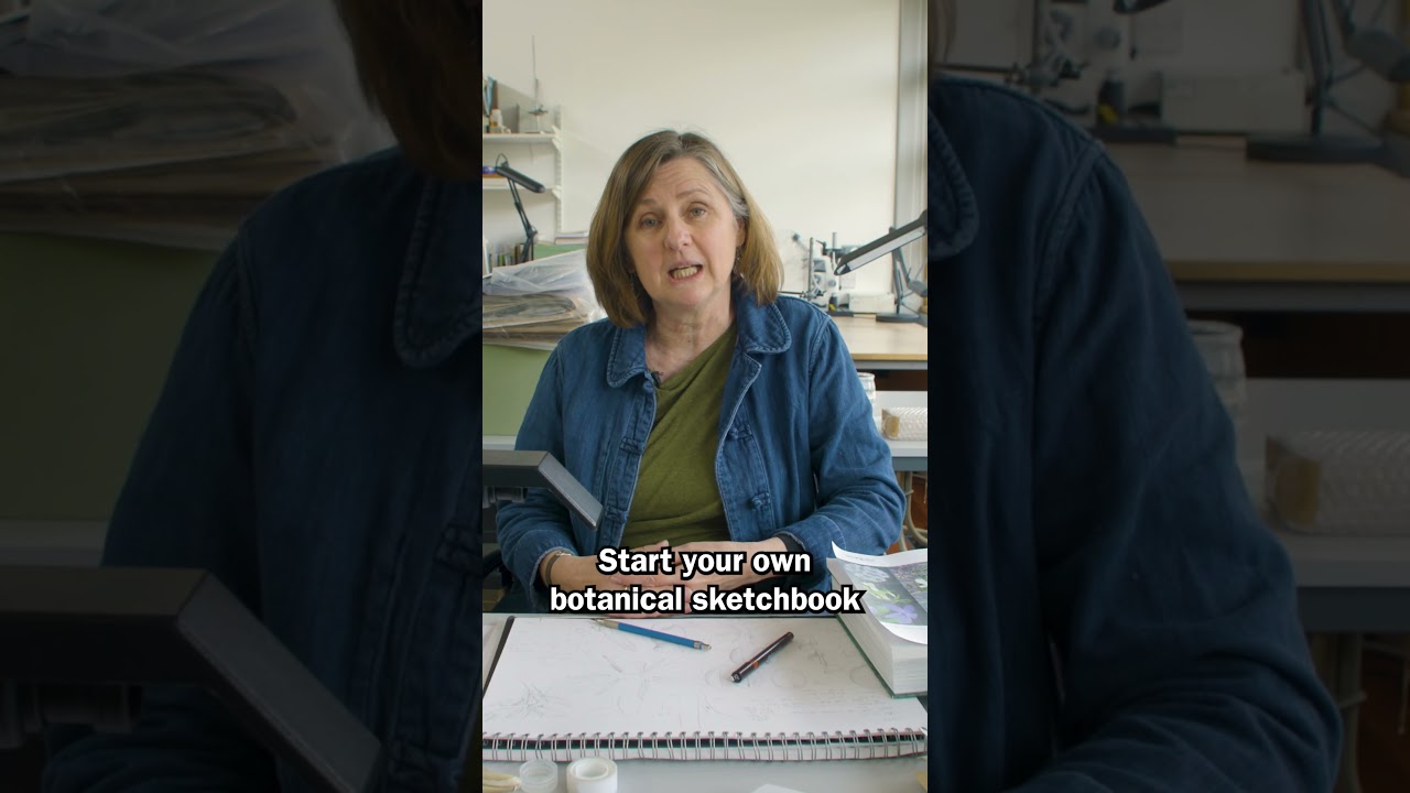 Expert top tips for getting started with botanical art #kewgardens #howto #art