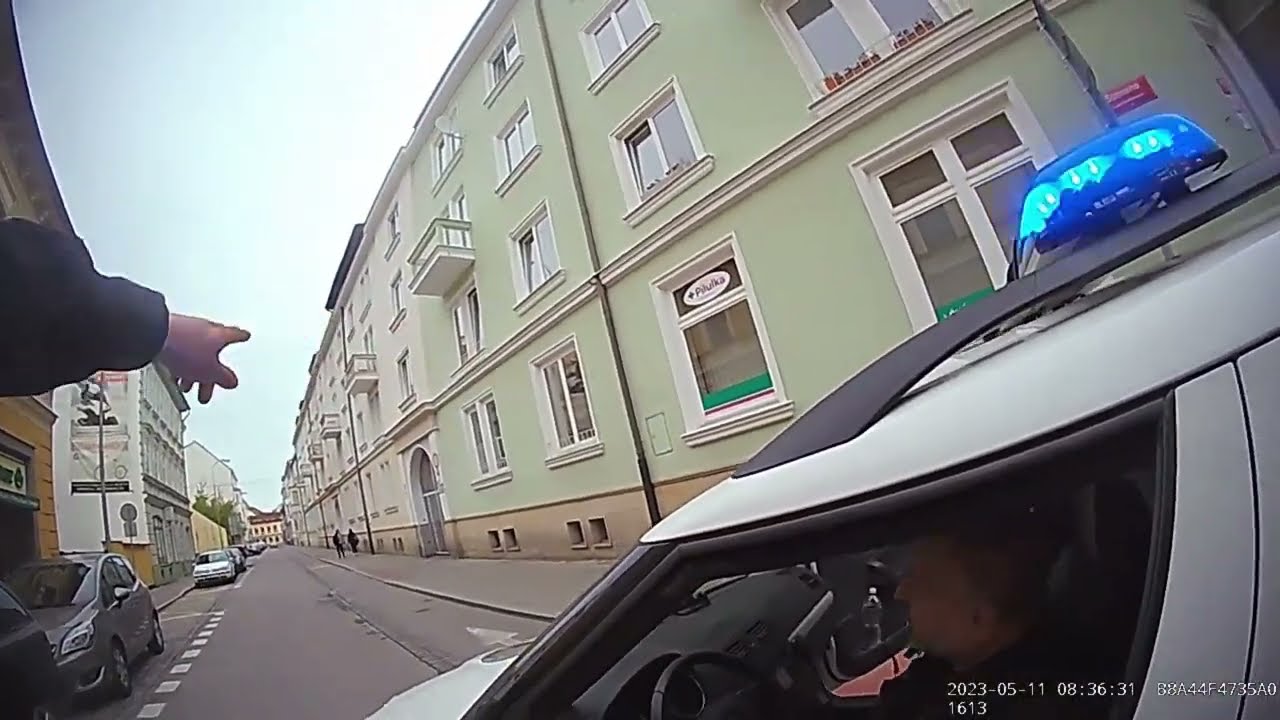 STRÁŽNÍCI V ČESKÝCH BUDĚJOVICÍCH PRONÁSLEDOVALI HLEDANÉHO MLADÍKA