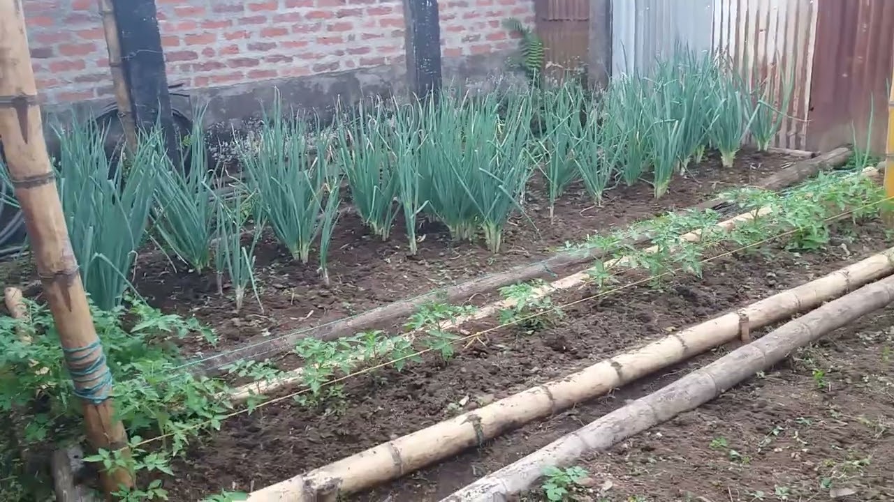 Estas son las bendiciones de Dios y del campo