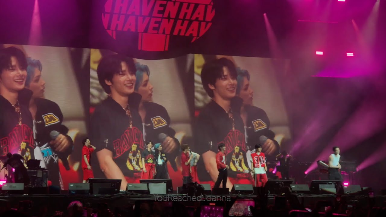 Stray Kids at Lollapalooza  | Paris vlog