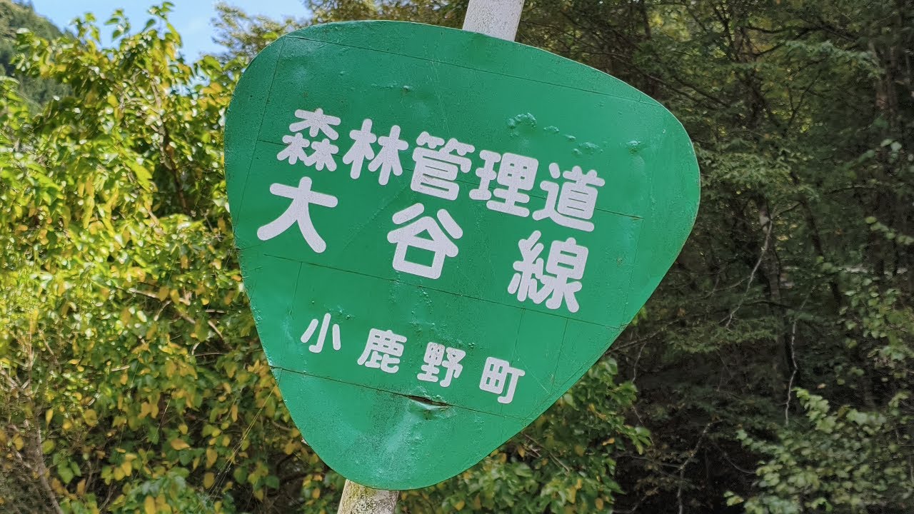 [小鹿野町]林道　大谷線～大谷支線[埼玉県]
