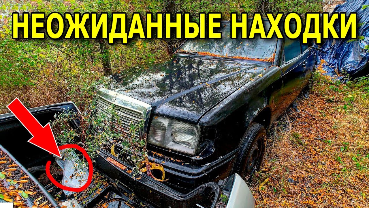 Шокирующая находка на пляже металлоискателем / Находки 201