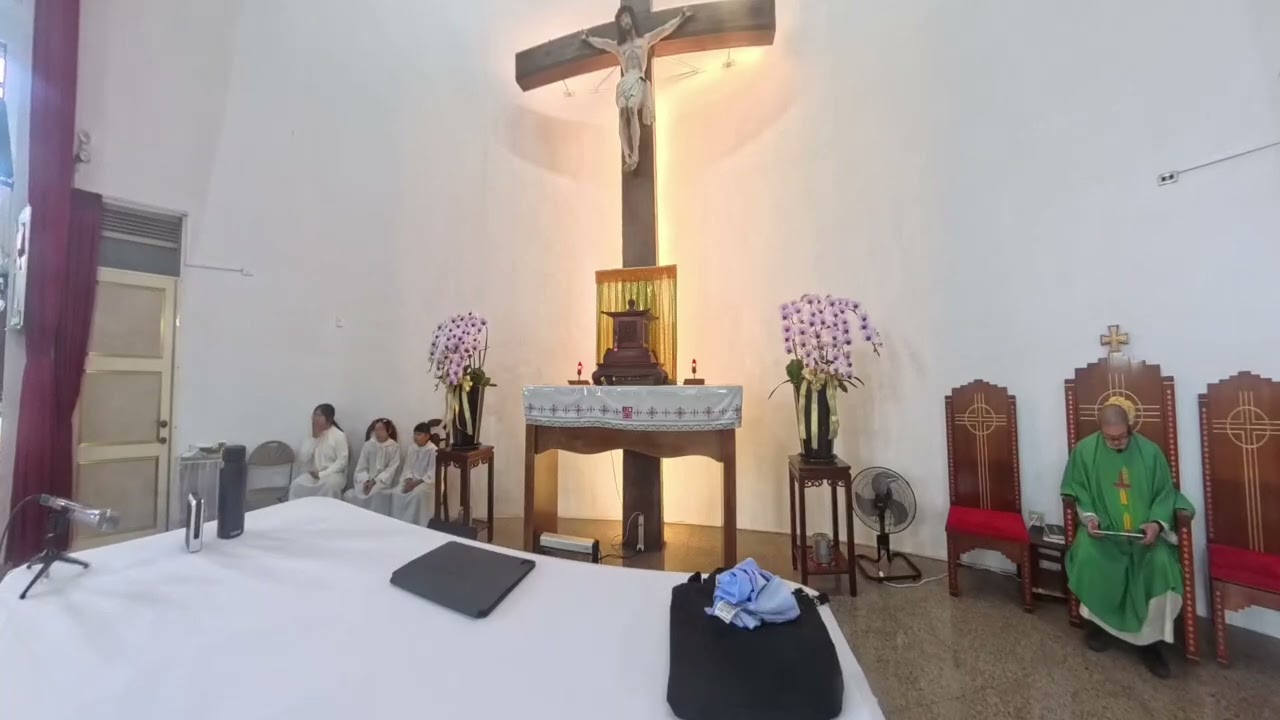 대만에 사는 신부. 住在台灣的神父。Catholic Priest In Taiwan. 花蓮教區。2026-2-8 早上 10:00 壽豐天主堂 常年期 第五主日。