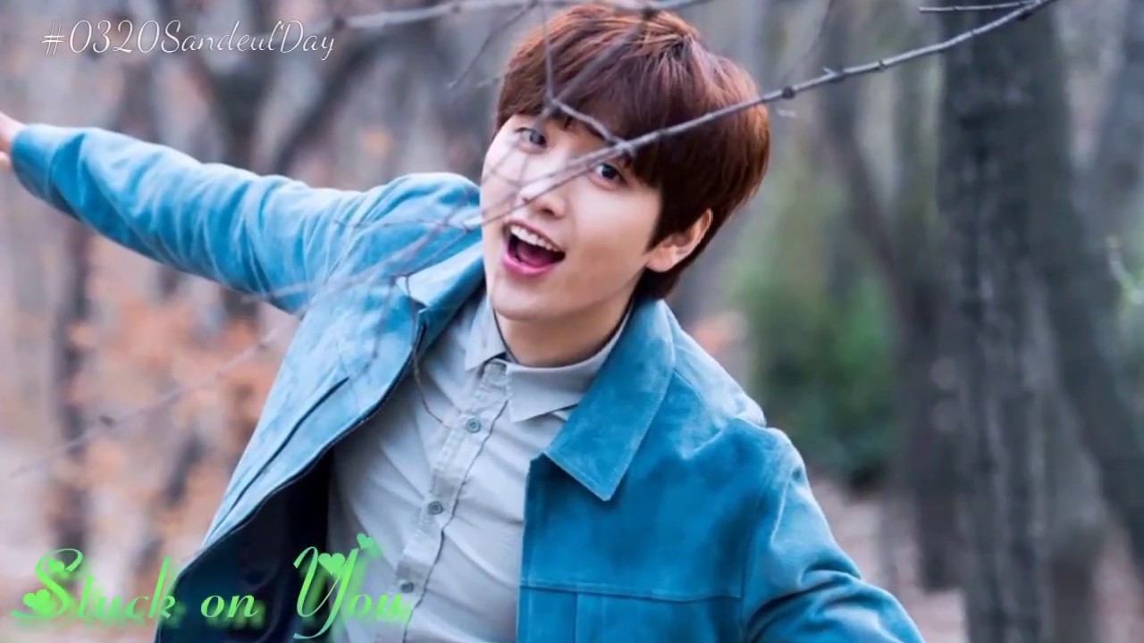Happy Sandeul Day 